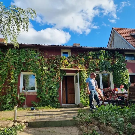 Alpaka Luebsee Lubsee