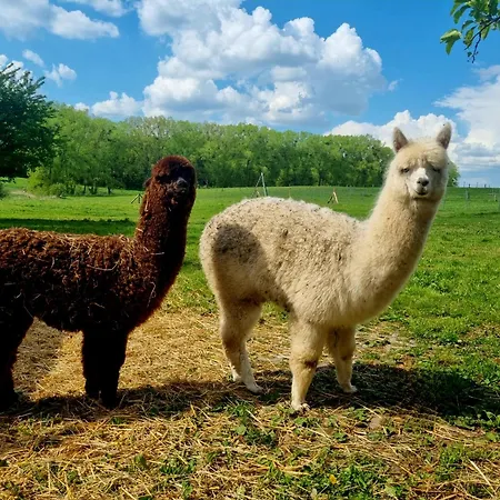 Alpaka Luebsee 아파트